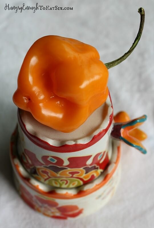 A habanero pepper resting on an upside down decorative cup.