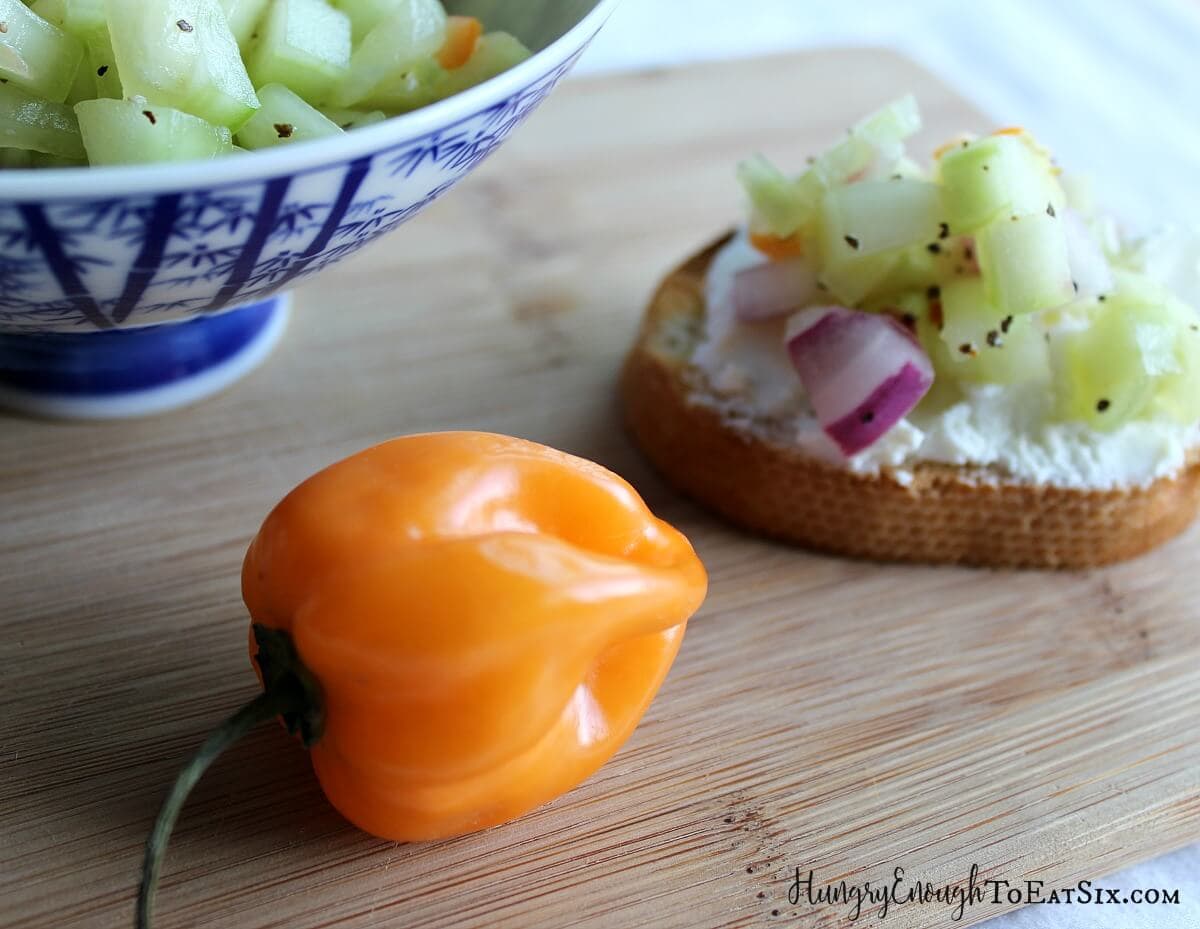 A small piece of toasted baguette with chevre cheese and cucumber salsa, next to a habanero pepper.