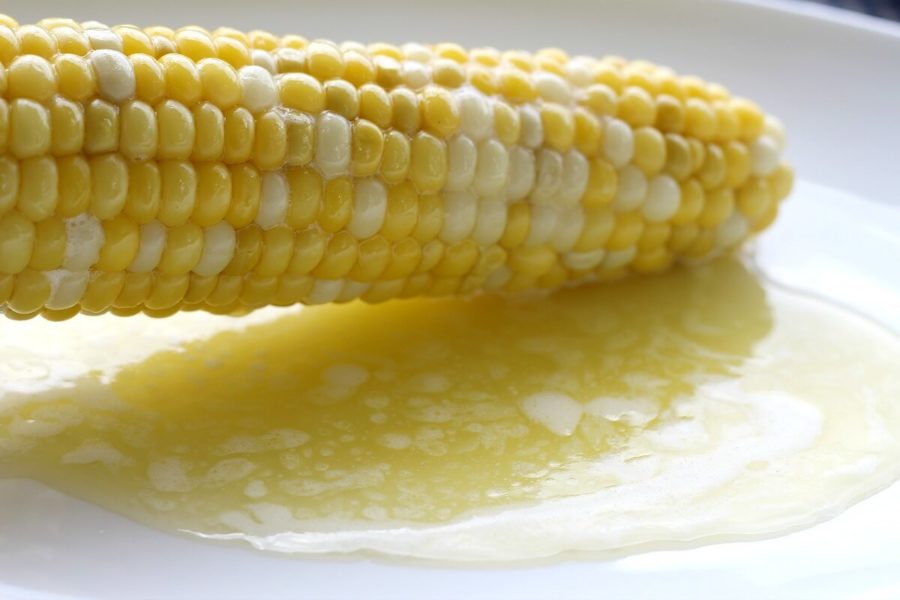 Ear of cooked corn above melted butter on a white plate.