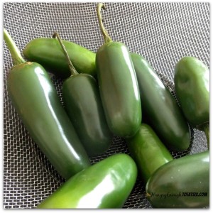 More lovely green, this time in fresh jalapenos.
