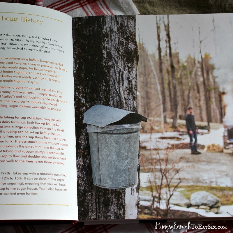 Inside of a cookbook with photo of tree