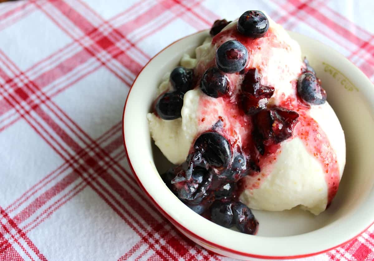 Dish of ice cream with blueberries.