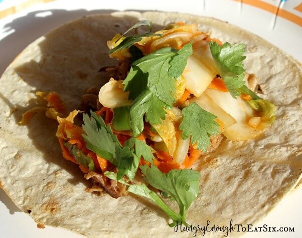 Corn tortilla topped with chicken and cilantro