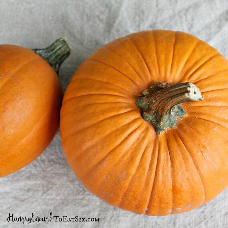 Two small pumpkins on a cloth background
