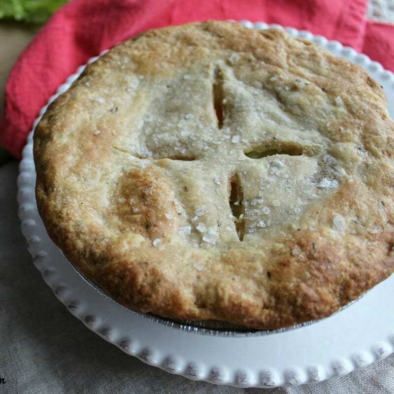 Lightly browned small pie with slits in the top