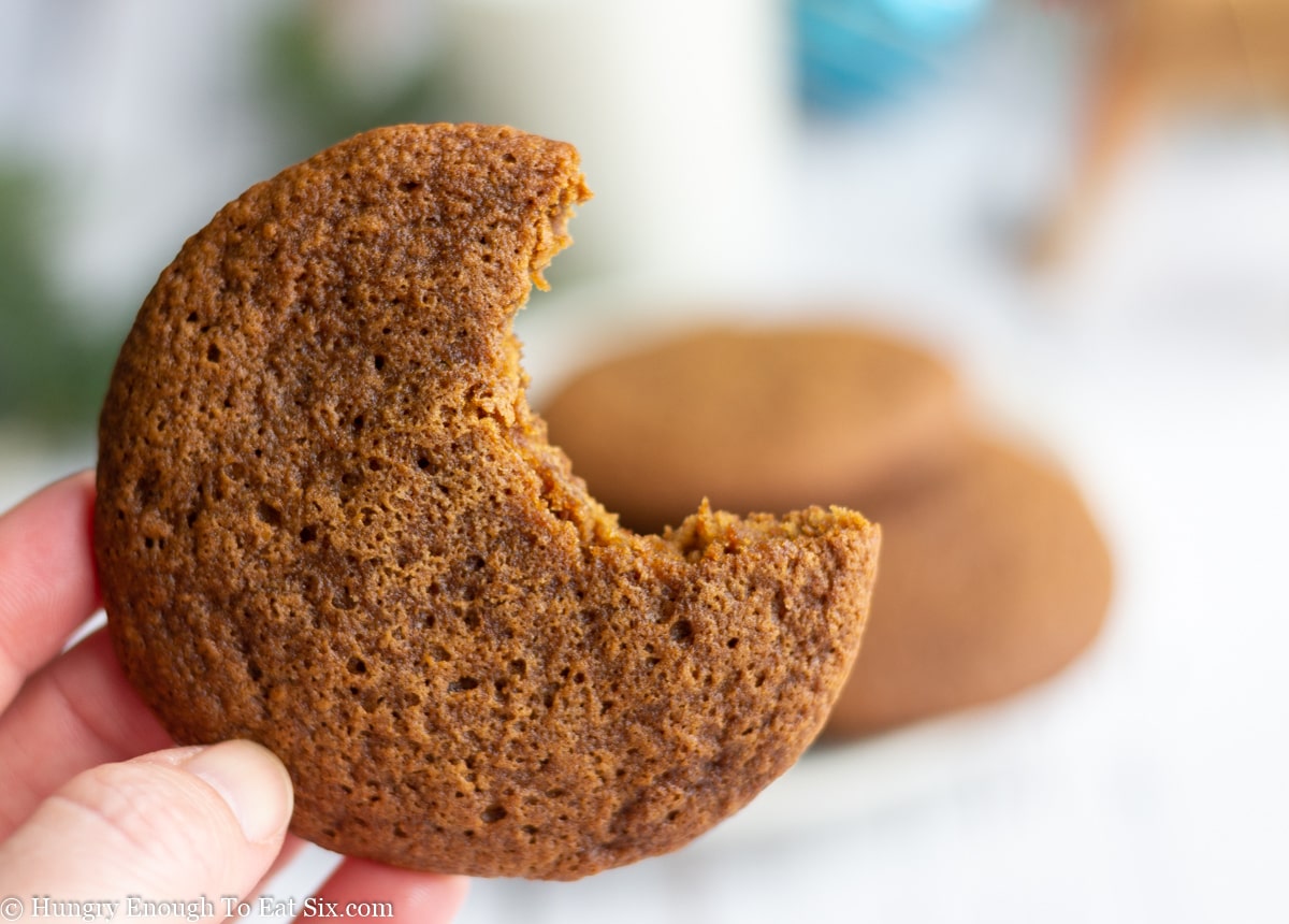 Molasses cookie with a bite taken out
