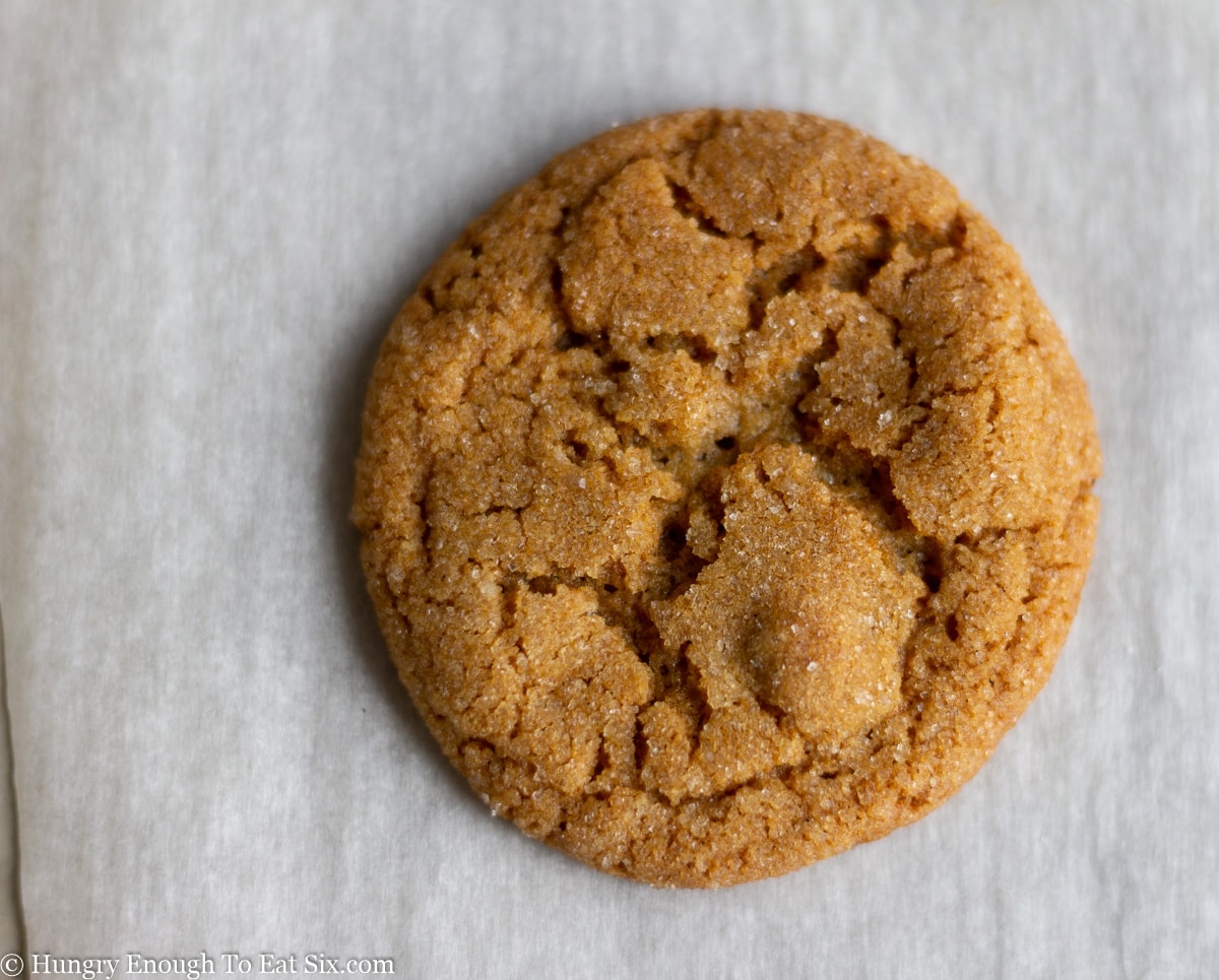 One round ginger cookie