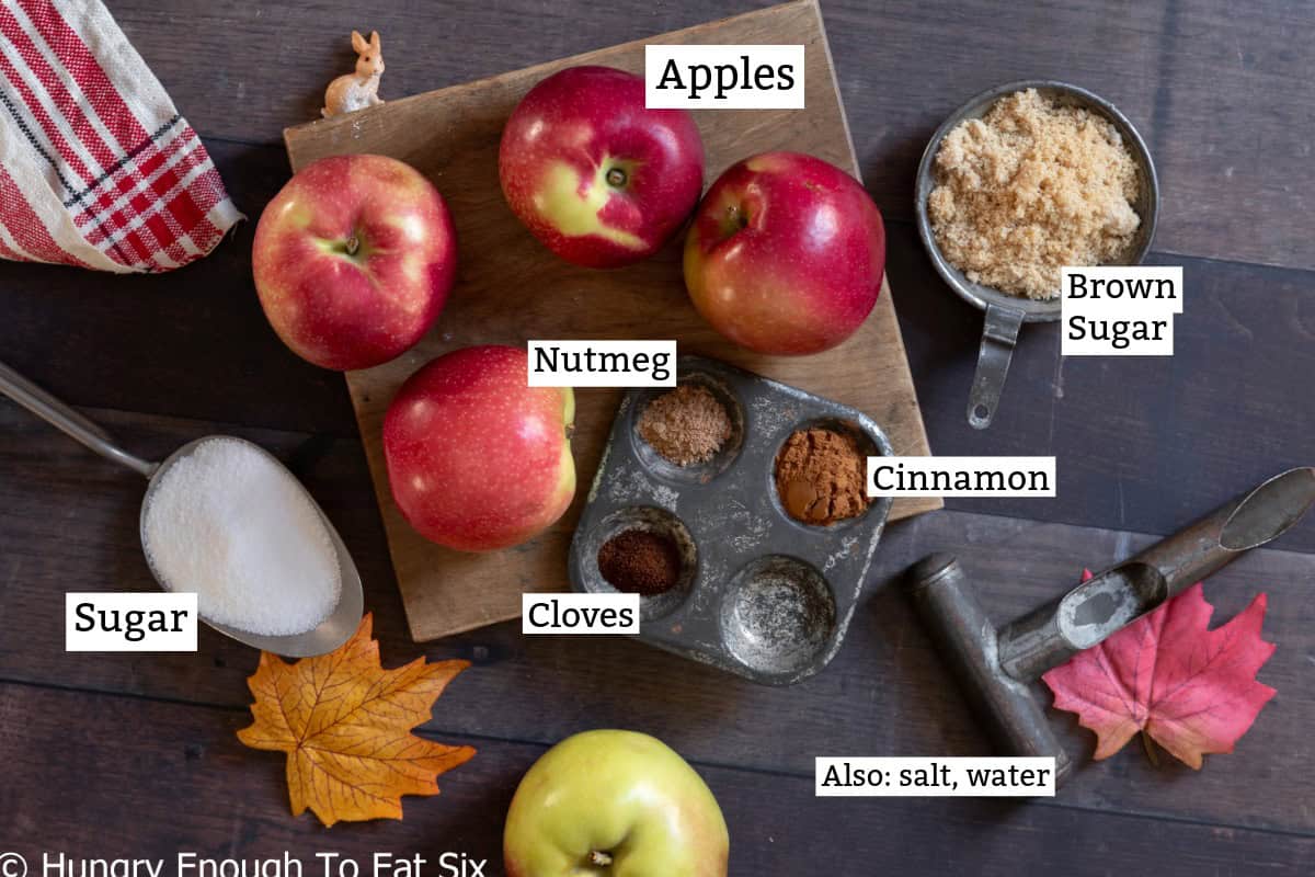 Ingredients for applesauce: apples, spices, sugars.