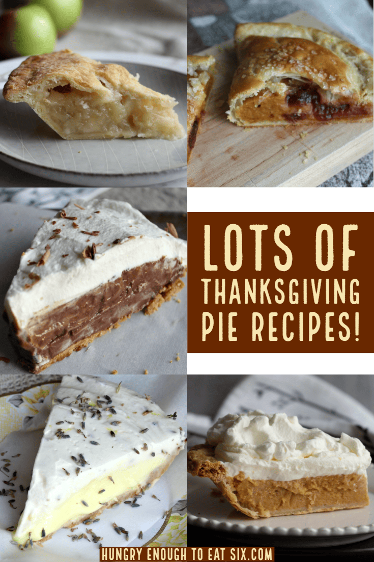 Thanksgiving Pie Recipes | Hungry Enough To Eat Six