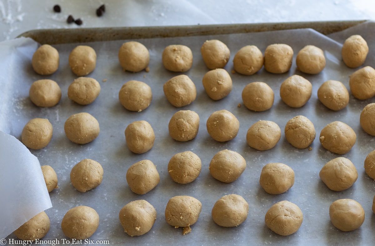 Round peanut butter centers lined up on a baking sheet