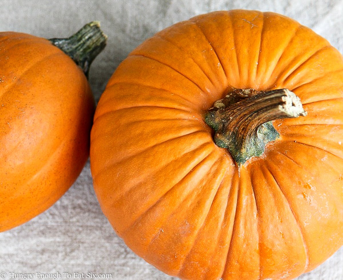 Two pumpkins on a coarse gray cloth