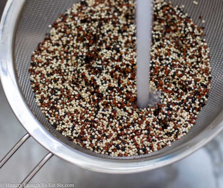 Uncooked quinoa in a mesh strainer being rinsed,