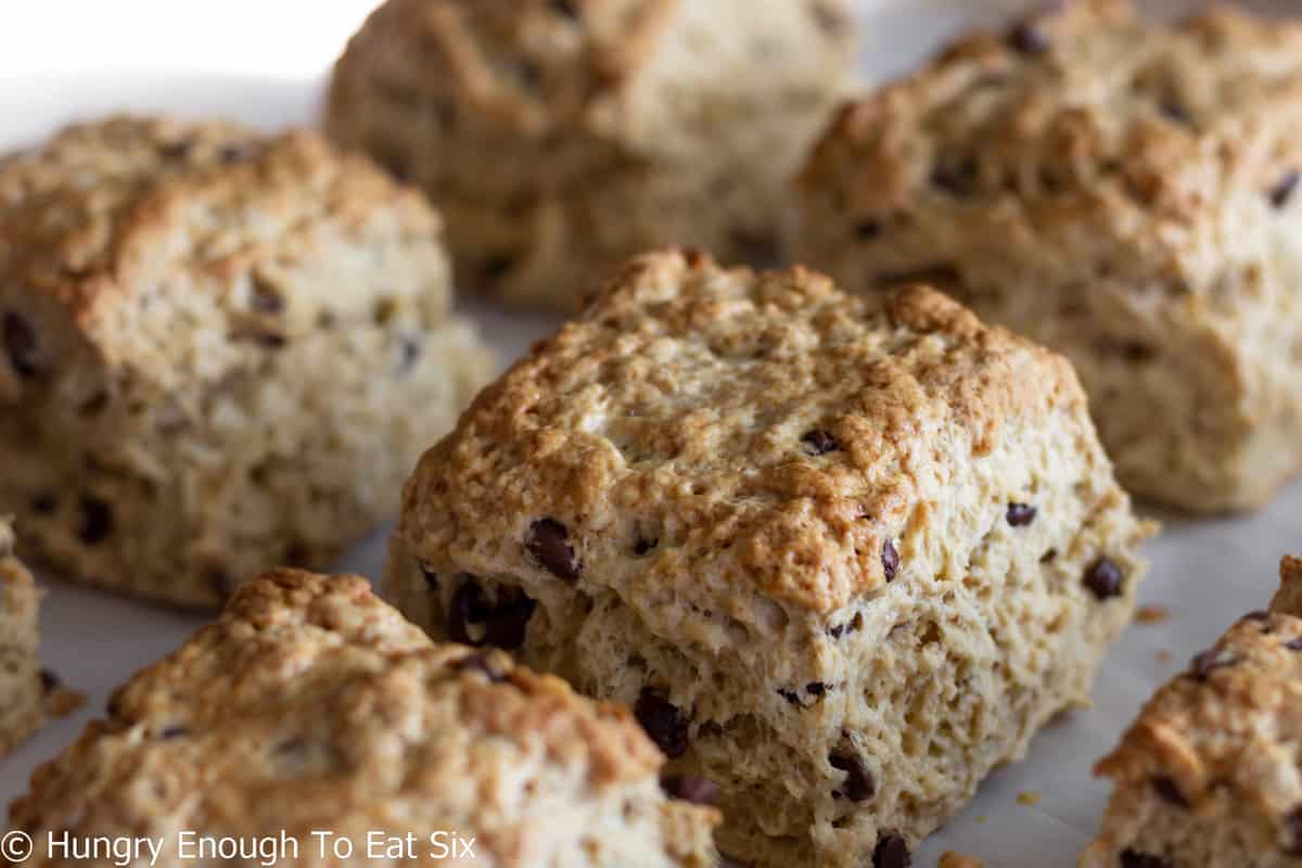 Baked square chocolate chip scones.