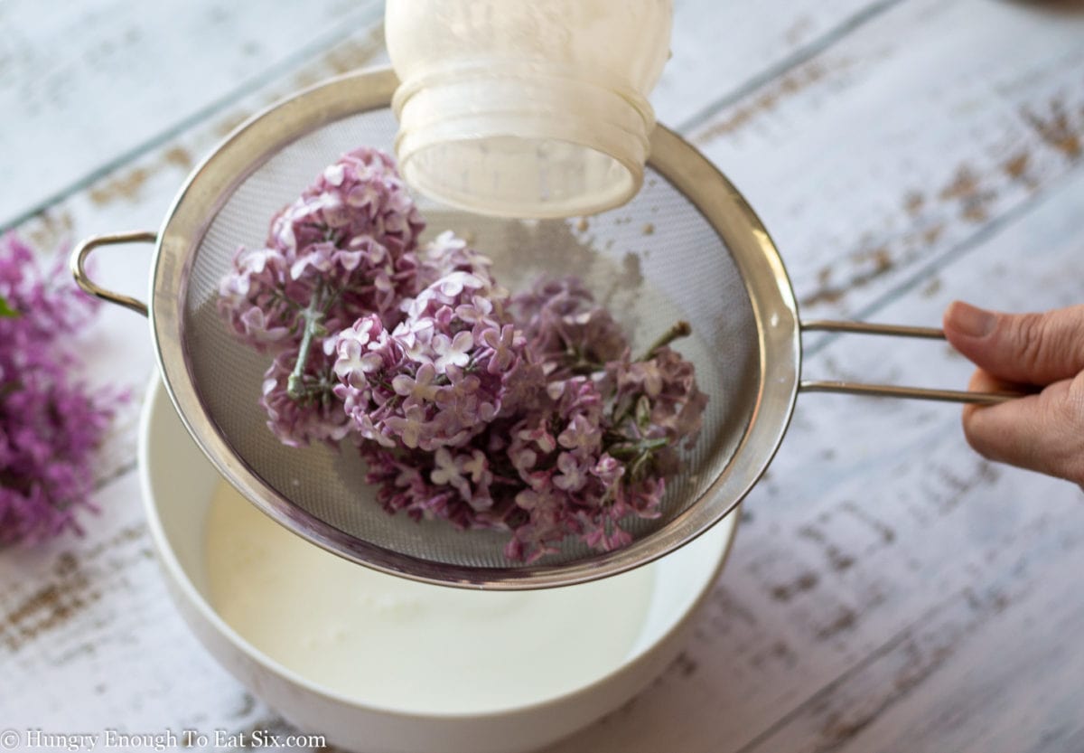 Strainer over white bowl, with lilacs in strainer and cream in bowl.