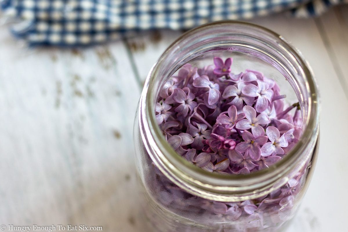Jar holding whipping cream with lilacs layered on top.