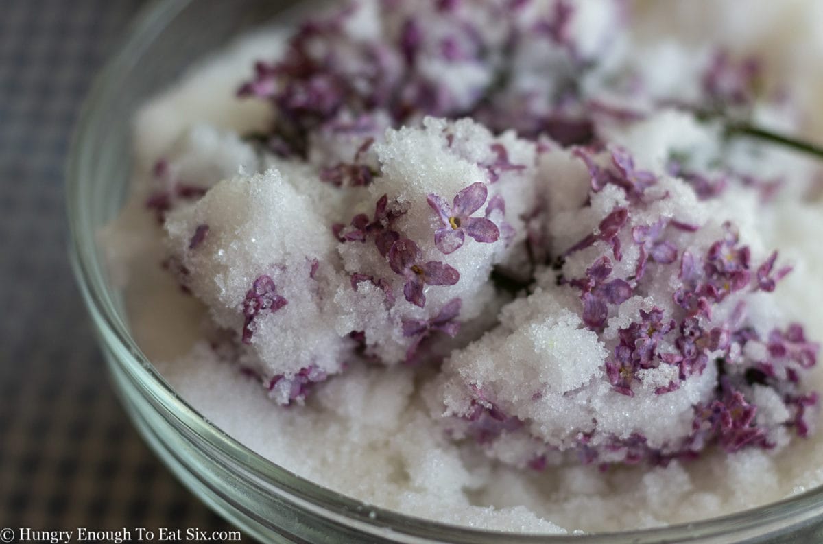 Shriveled purple lilac blooms in a glass bowl of white sugar.