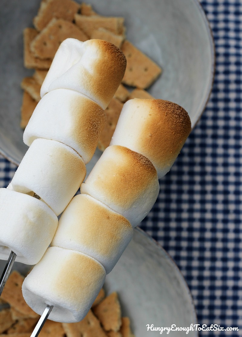 Skewers of browned marshmallows