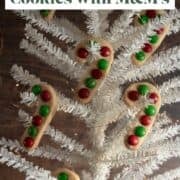 Red and green candy cane shaped cookies hanging on a white tree.