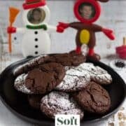 Plate full of cocoa cookies, some with powdered sugar.