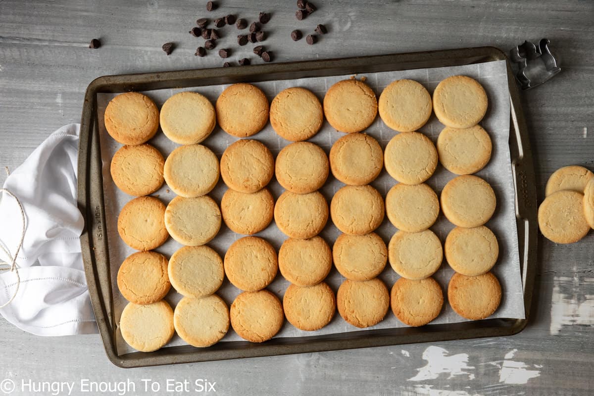 Baking sheet with rows of round cookies.