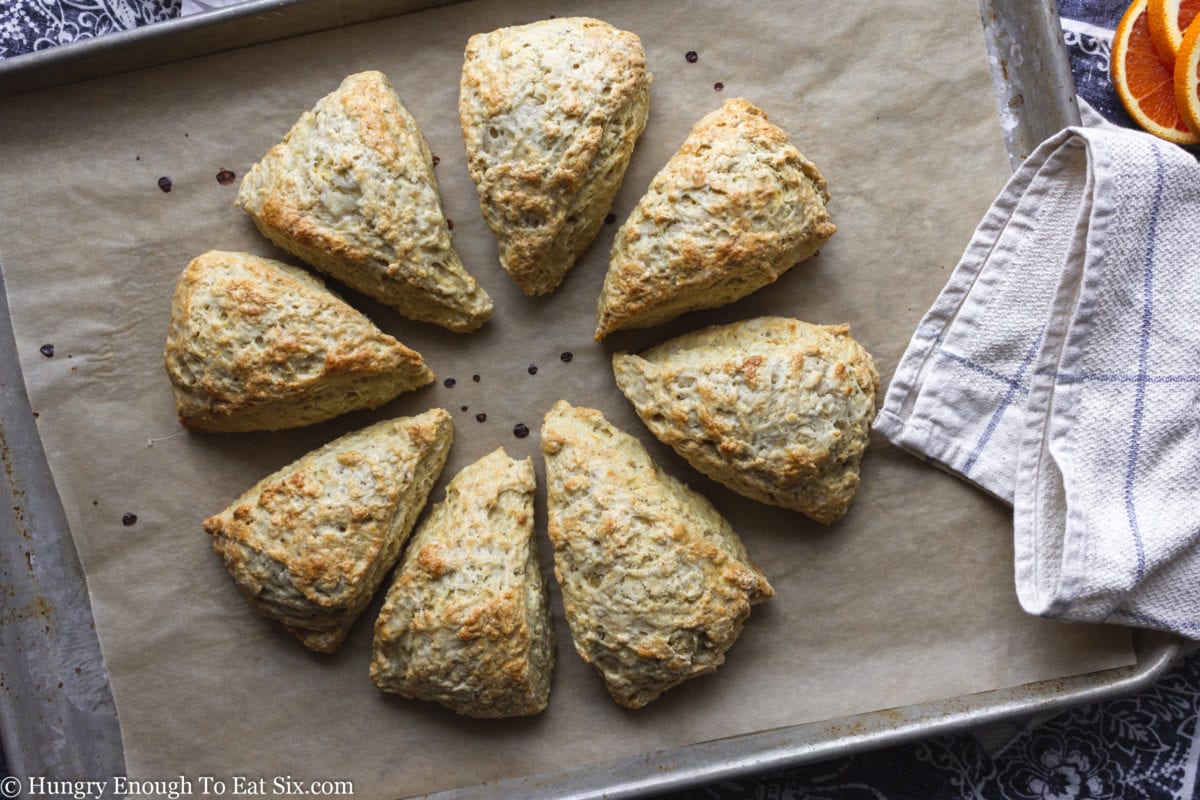 Ring of baked scones