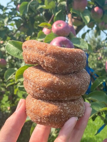 Three donuts held in fingertips near apple trees.