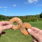 Hands holding two touching donuts with trees behind.