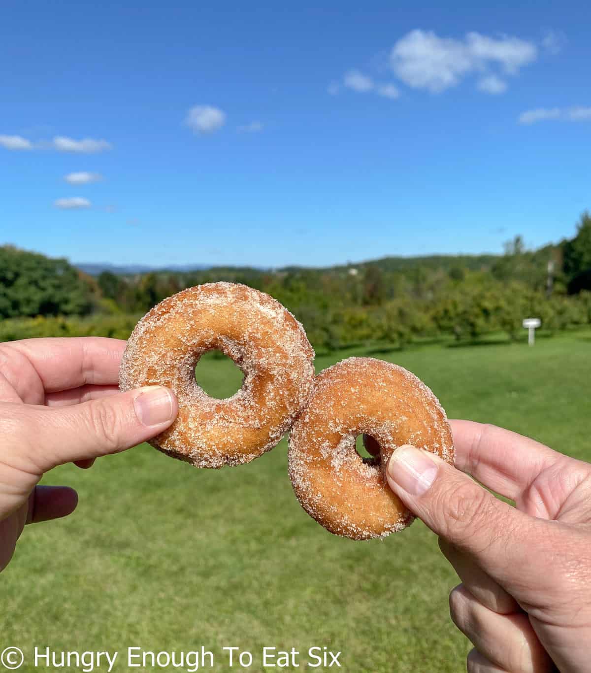 Hands holding two touching donuts with trees behind. 
