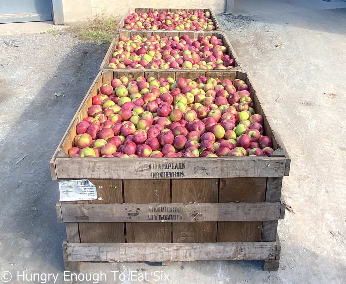 Large pallet boxes full of red and green apples.