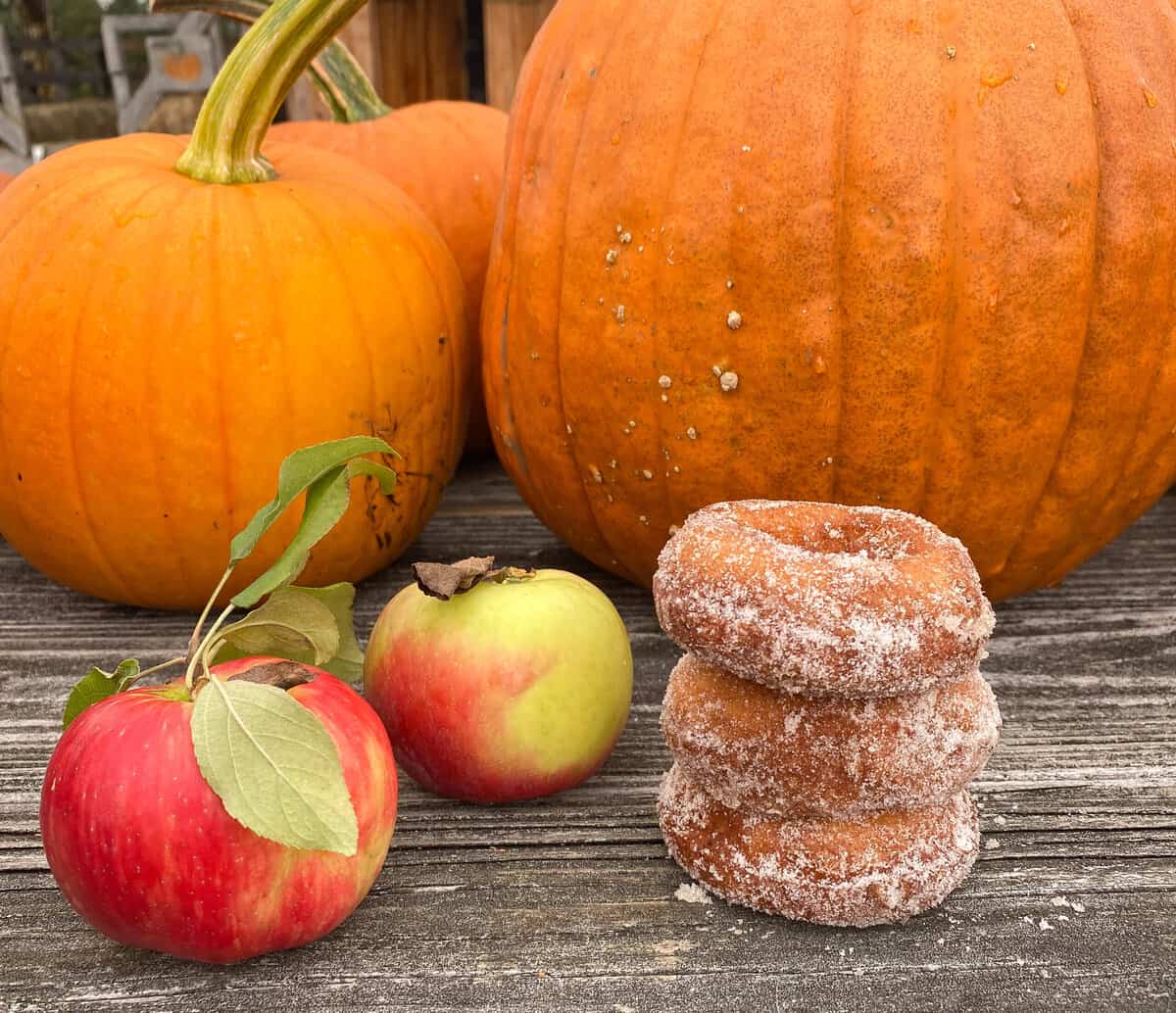 Three donuts with apples and pumpkins.