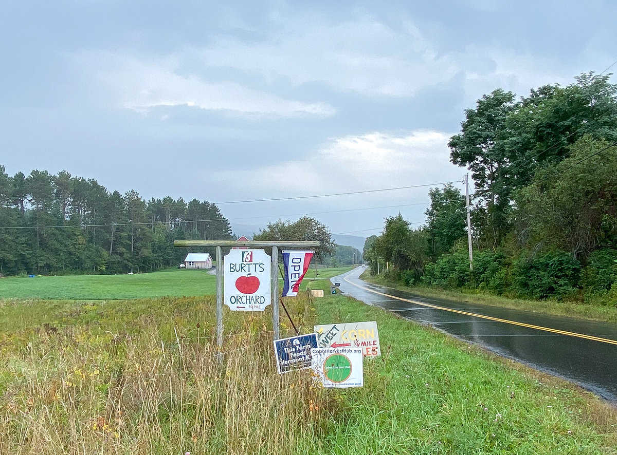 Roadside signs for Burtt's apple orchard.