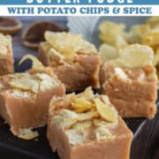 Squares of brown fudge with chips on top.