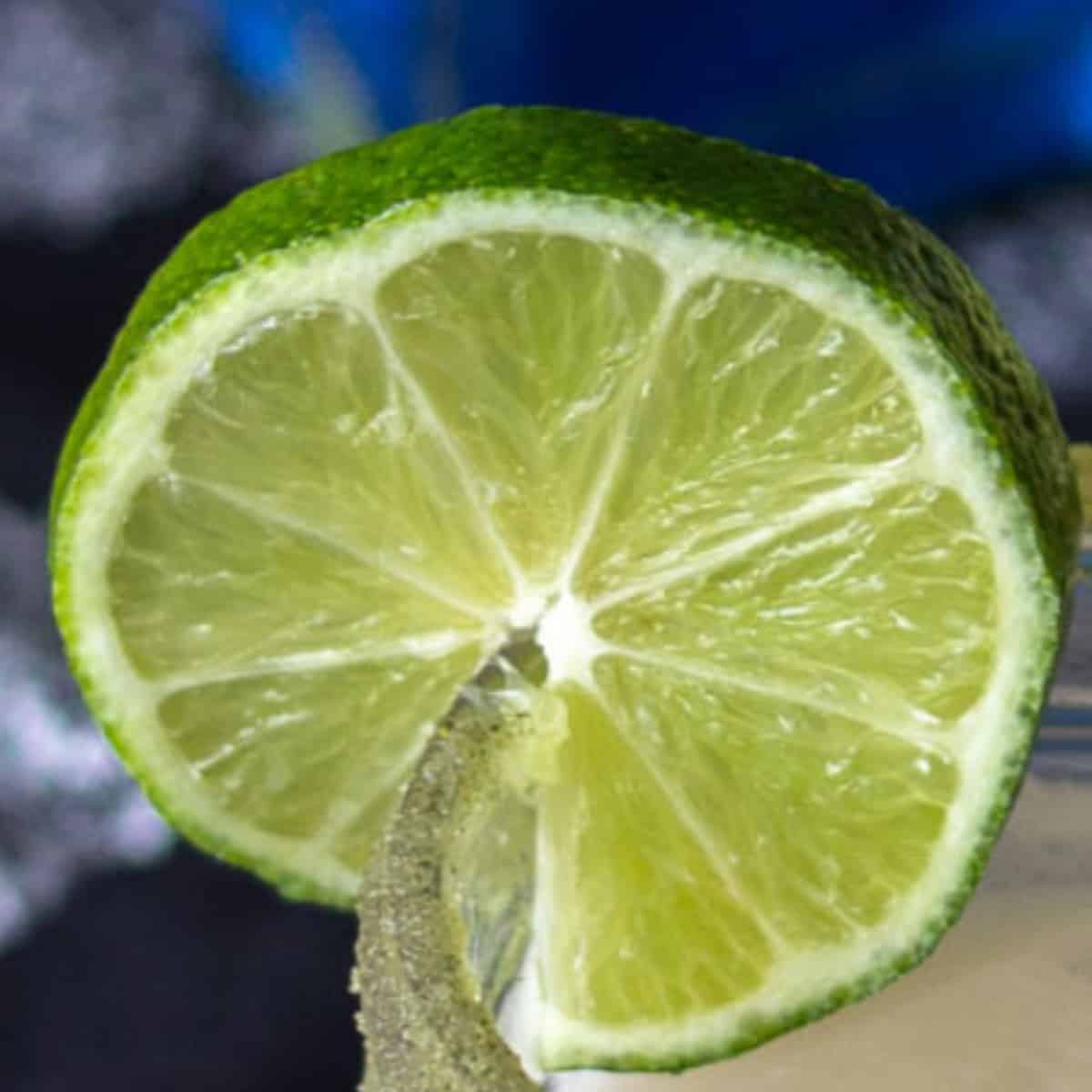 Lime slice on a glass edge.