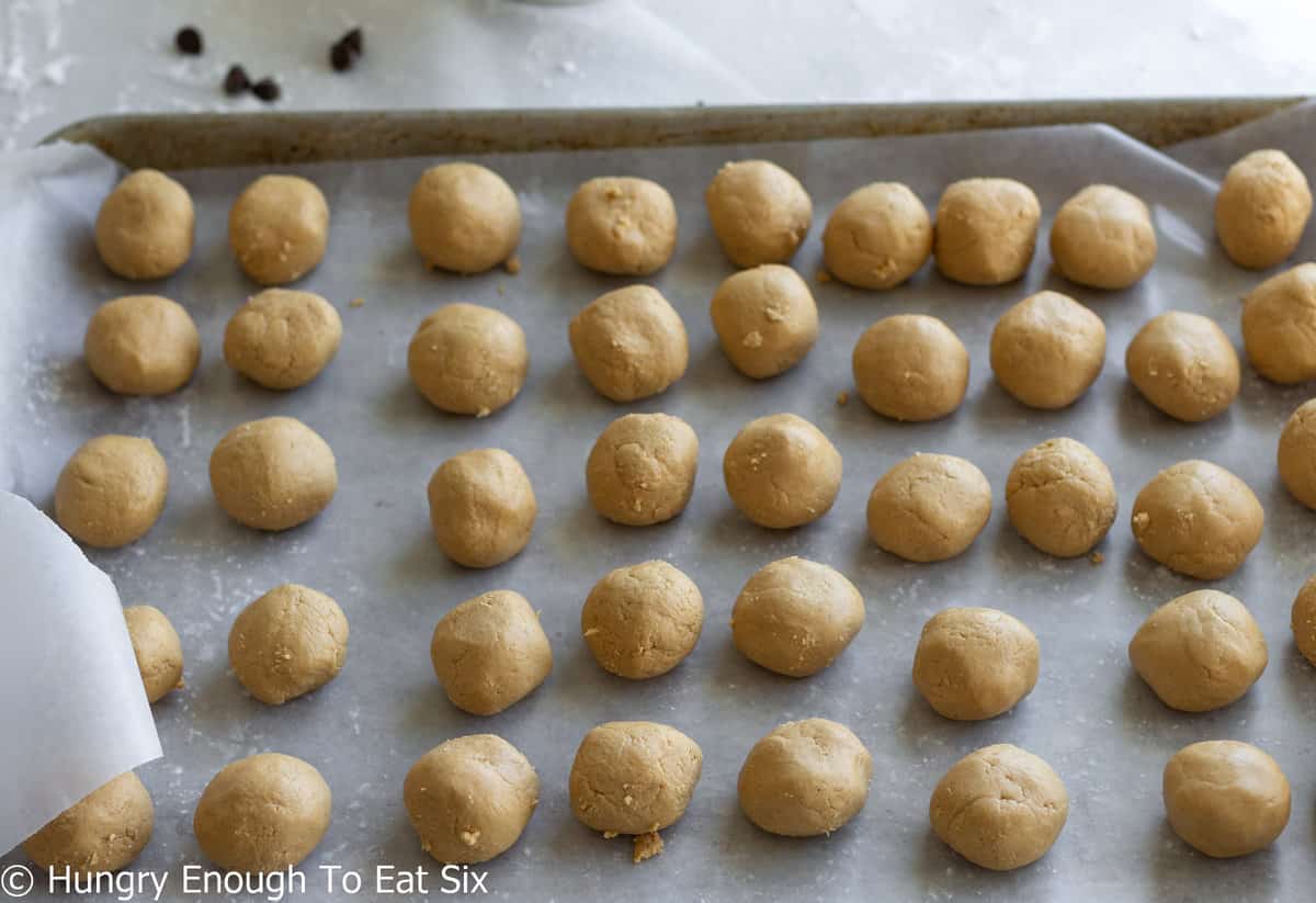 Rolled balls of peanut butter candy on a baking sheet.