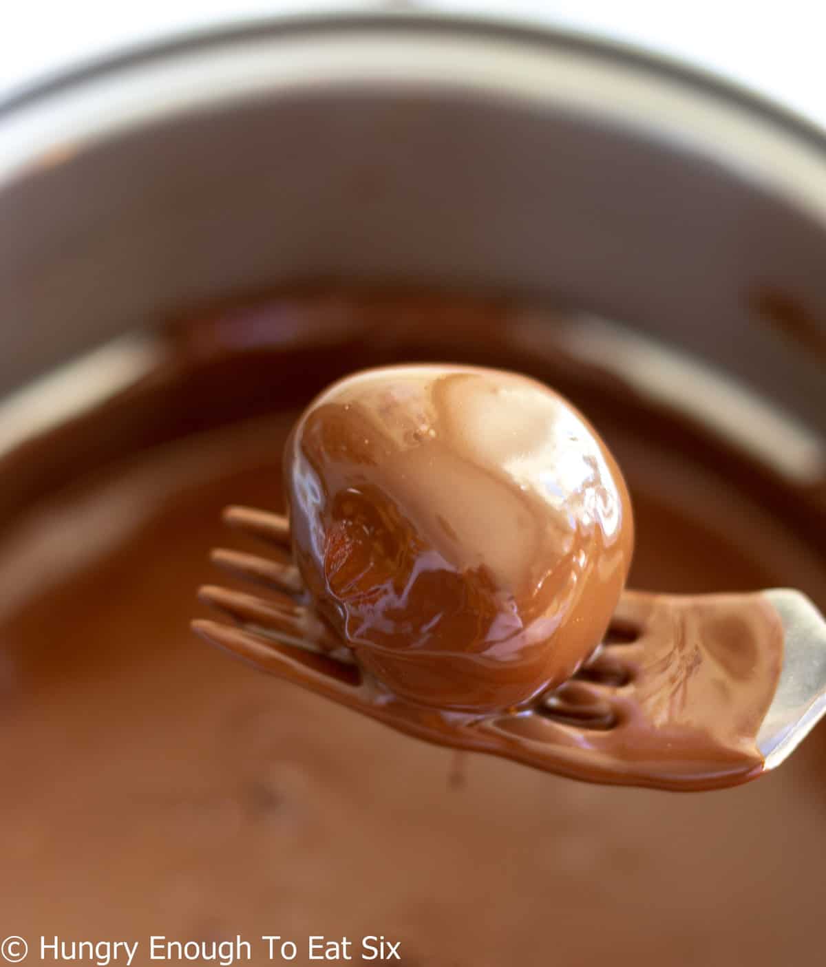 Chocolate coated peanut butter ball sitting on times of a fork.