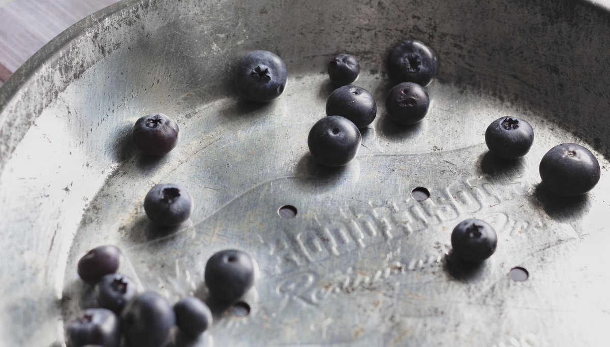 Whole blueberries in a metal pie tin.