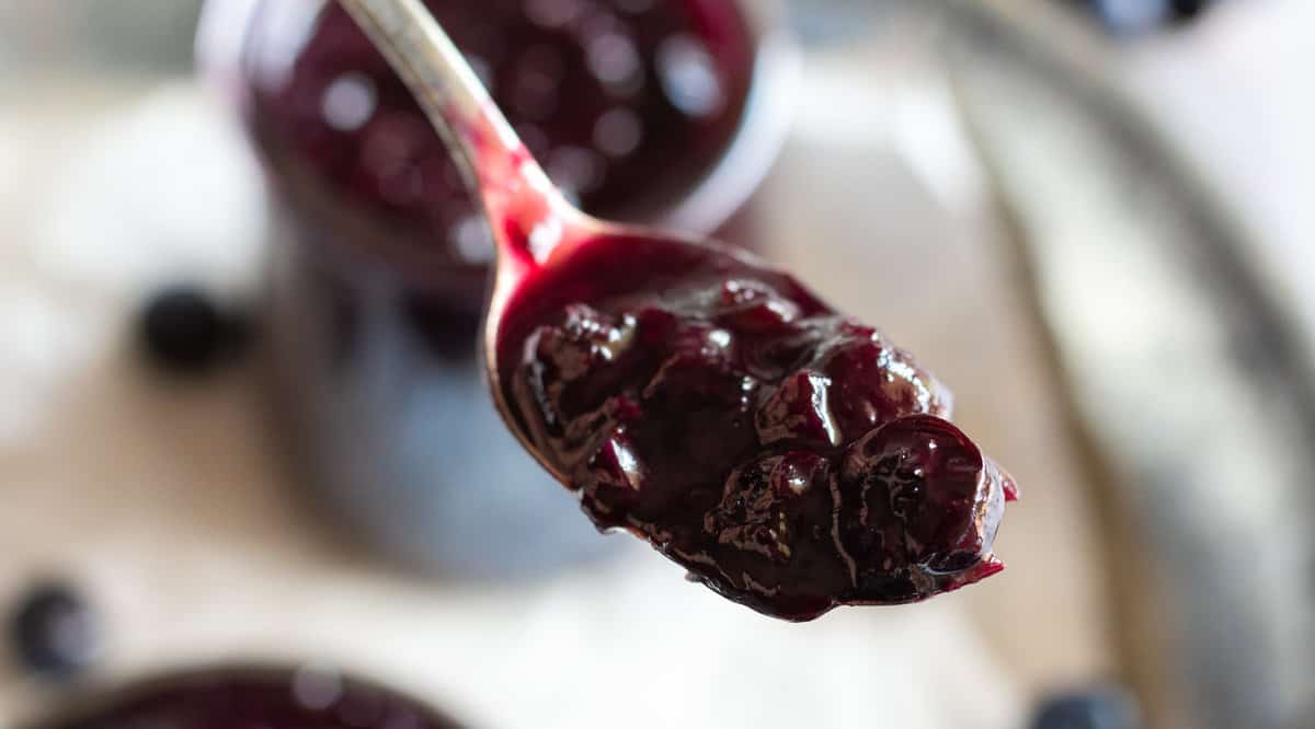 Spoonful of dark purple blueberry ketchup.