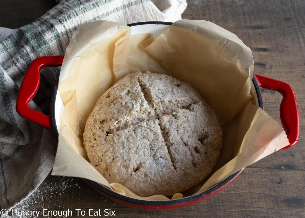 Unbaked brown bread dough in a Dutch oven.