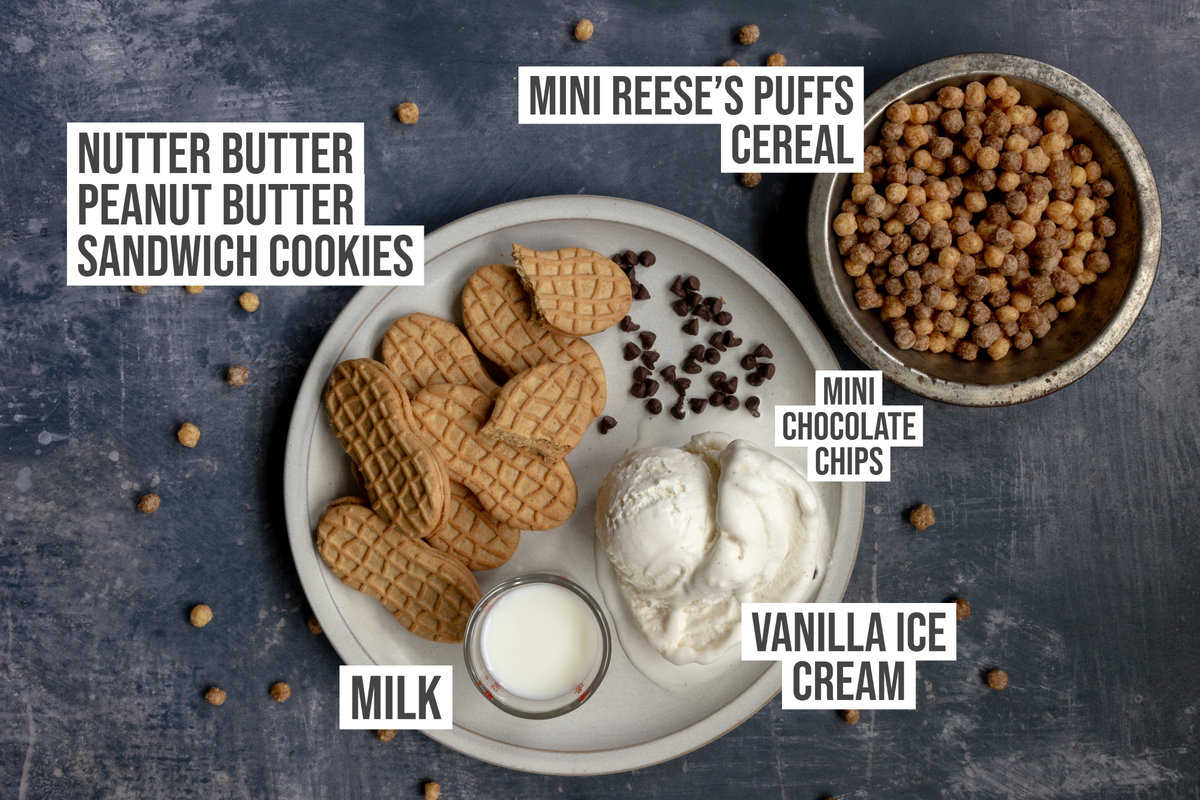 Ingredients: cookies, cereal, ice cream, milk, and chocolate chips.