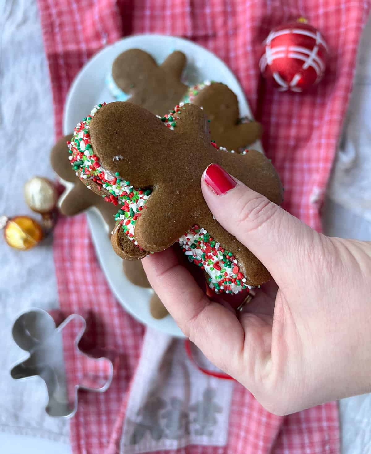 Hand holding a gingerbread ice cream sandwich with sprinkles.