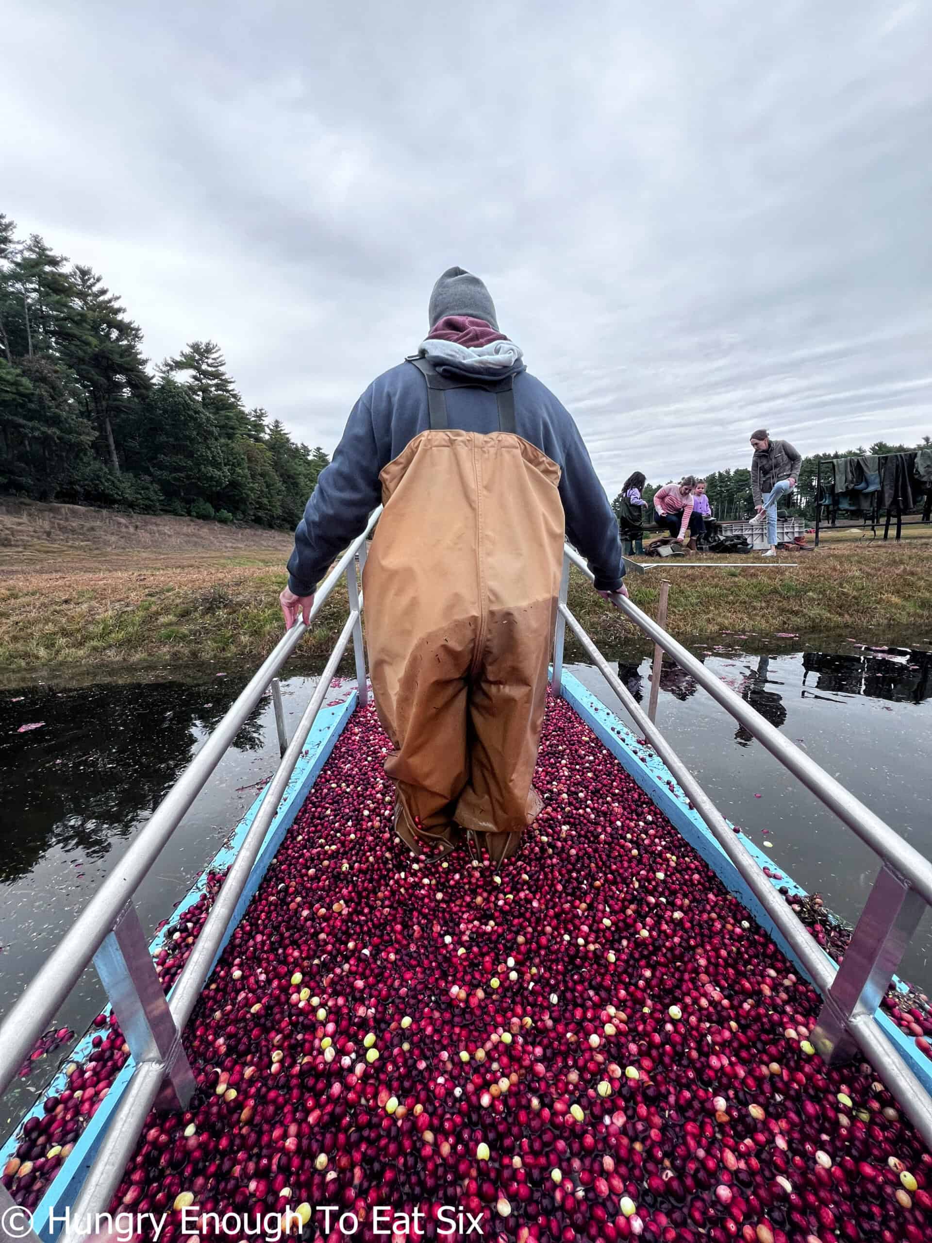 Man walking up cranberry-filled ramp.