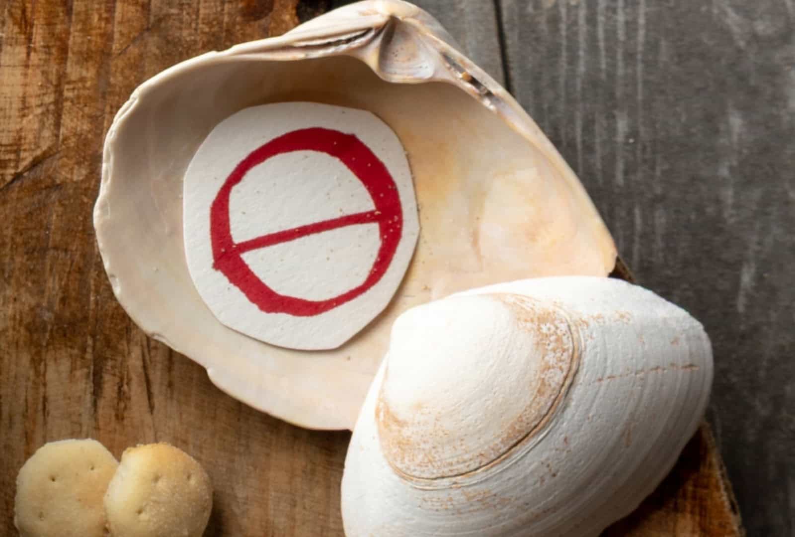 Empty clam shells with a "no" symbol inside, as part of the no-clam chowder recipe.