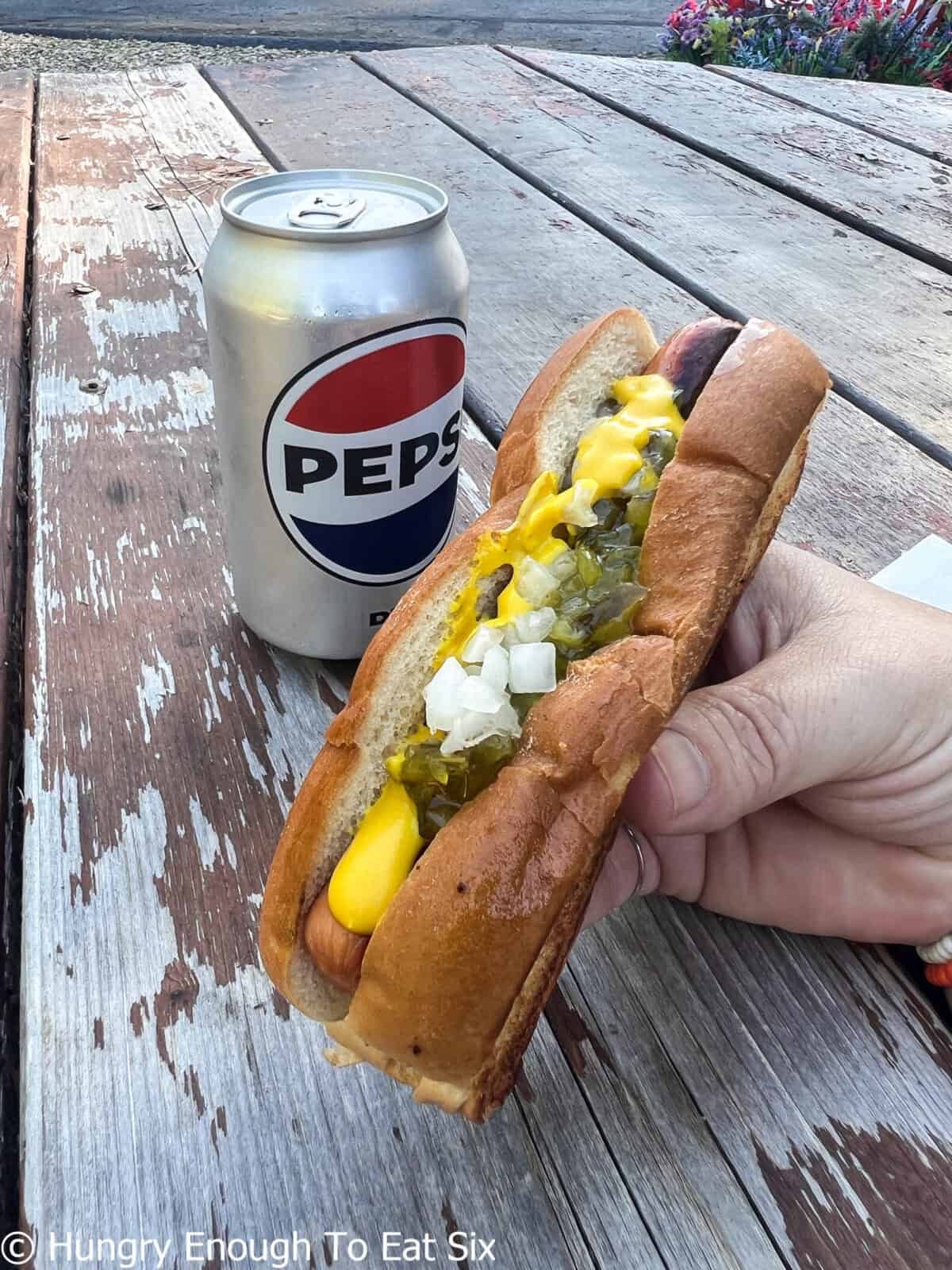 Hand holding a hot dog from a central MA hot dog spot.