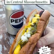 Hand holding a hot dog from a central Massachusetts hot dog stand.