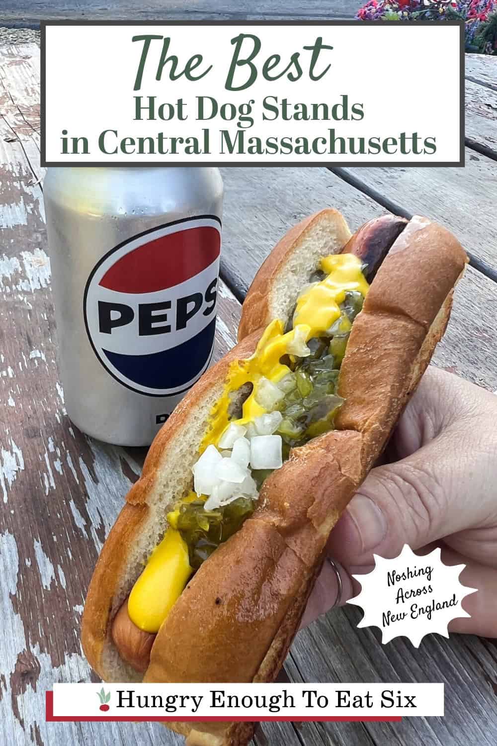 Hand holding a hot dog from a central Massachusetts hot dog stand.