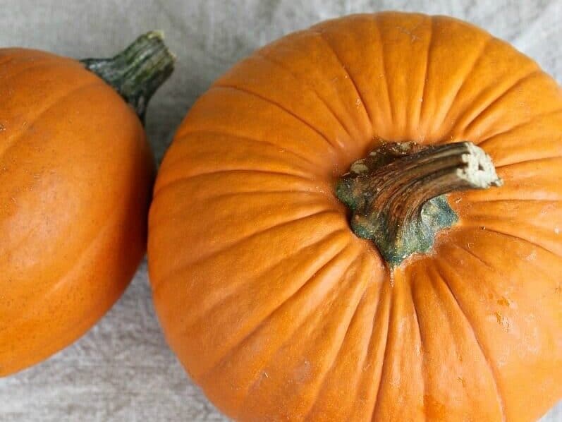 Two small whole orange pumpkins.