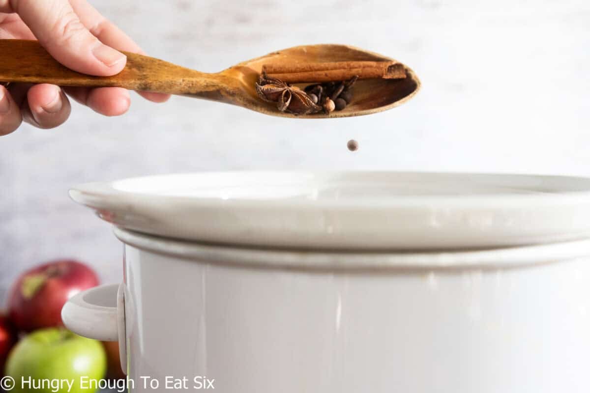 Dry, whole spices dropping into a slow cooker for hot apple cider.