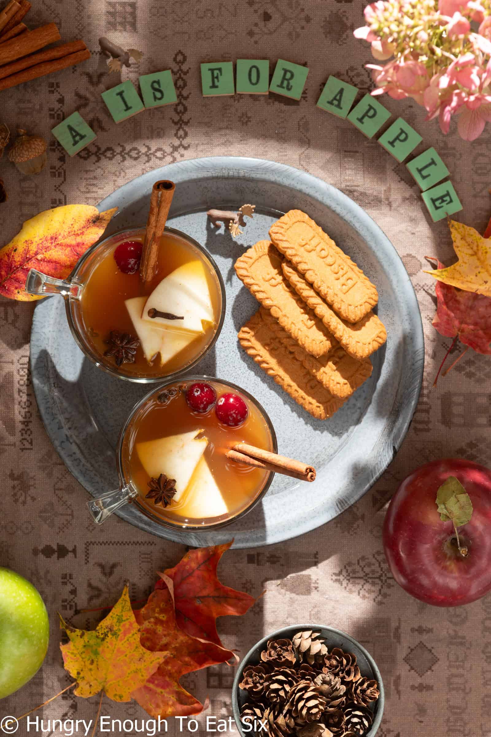Glasses of hot apple cider with cinnamon sticks and Biscoff cookies.